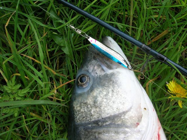 Thomas und sein Fast-Rekordfisch..