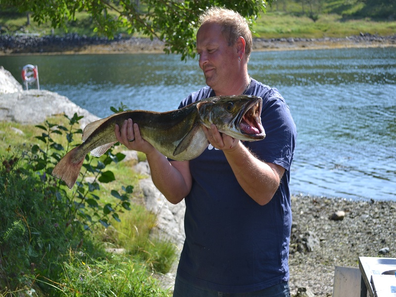 Trondheimsleia klein 6