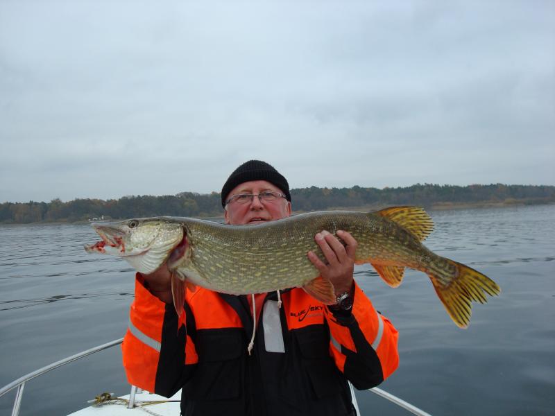 und da war er: 1m/16,5Pf