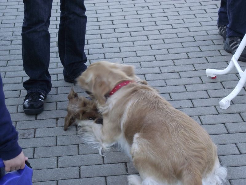 und wer unten liegt, hat noch lange nicht verloren