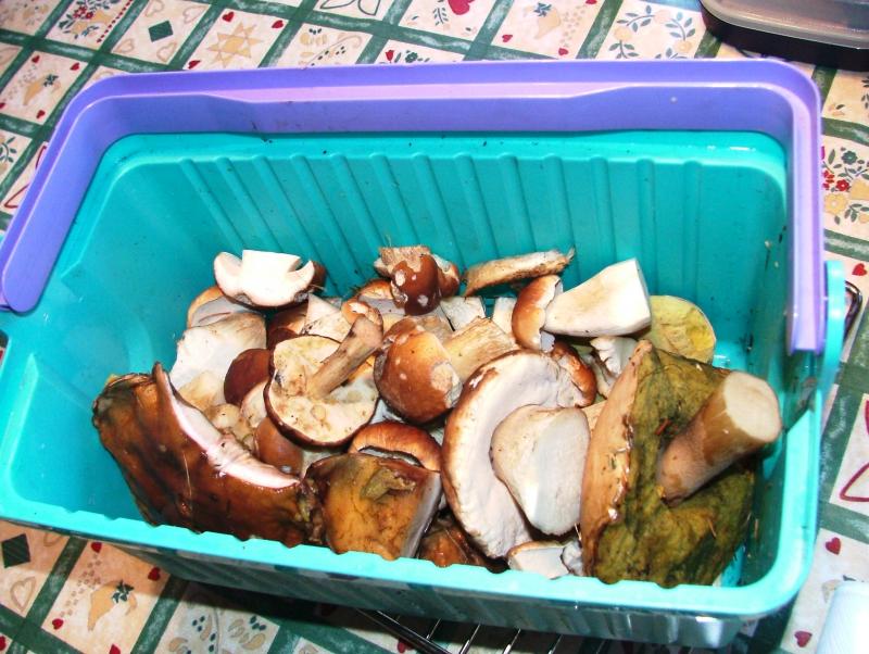 URLAUB  September 2004 031