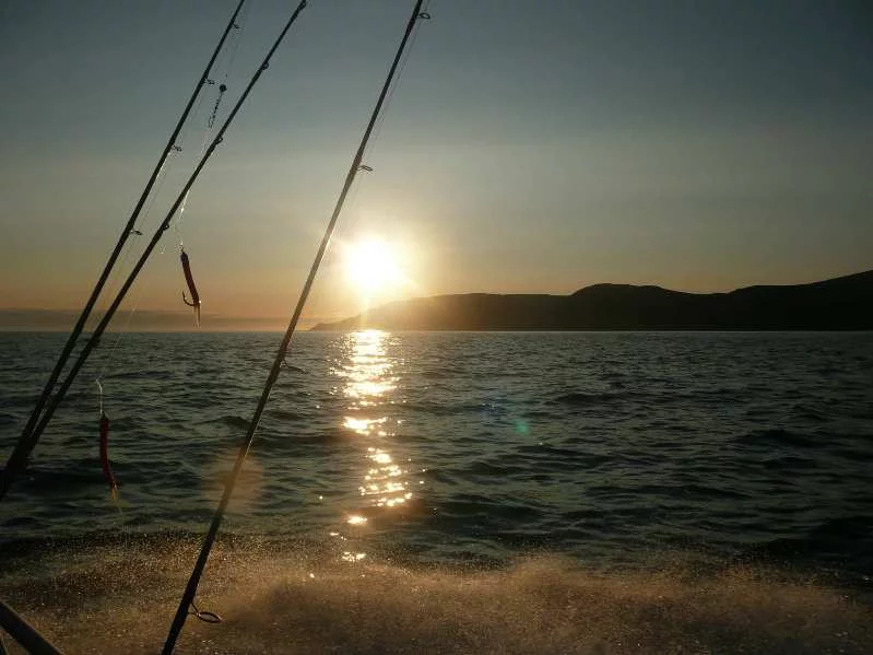 user3094 pic2792 1248362856