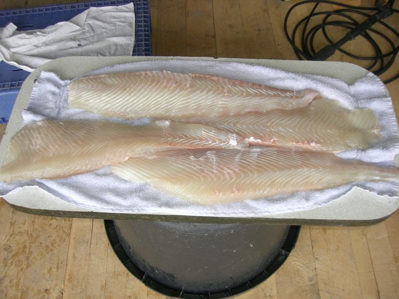 Vier wunderschöne Seiten