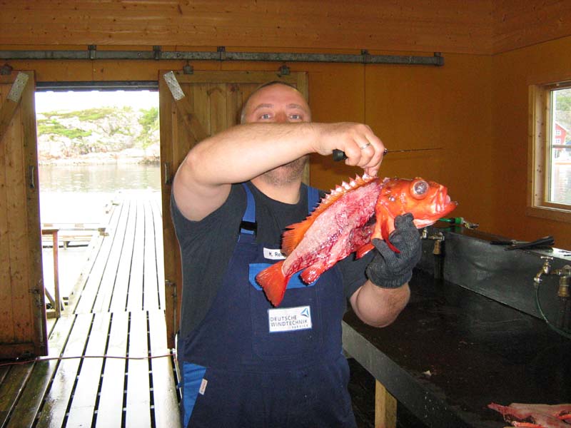 Völlig frei von jeglichem Filet!

Bonefish höhöhö