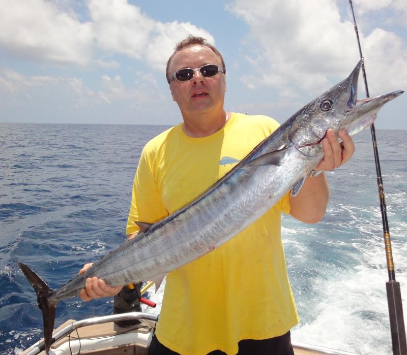 Wahoo