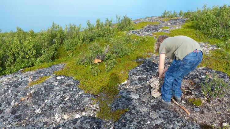 Wanderung Ostseite 2