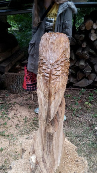 WhatsApp Image 2016-10-09 At 16.29.47