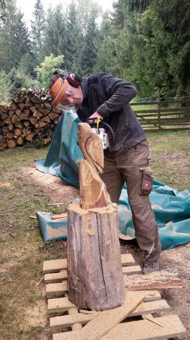 WhatsApp Image 2016-10-09 At 16.30.00(1)