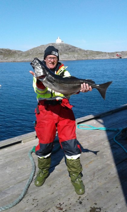 WhatsApp Image 2017-06-08 At 10.46.12