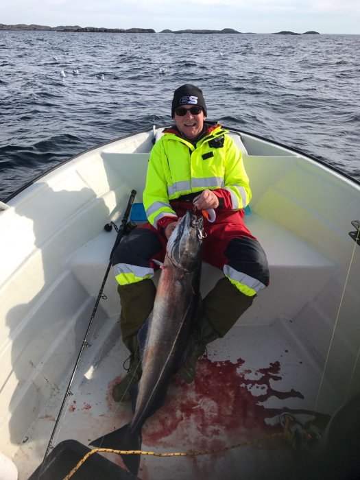 WhatsApp Image 2017-06-08 At 10.46.16(1)