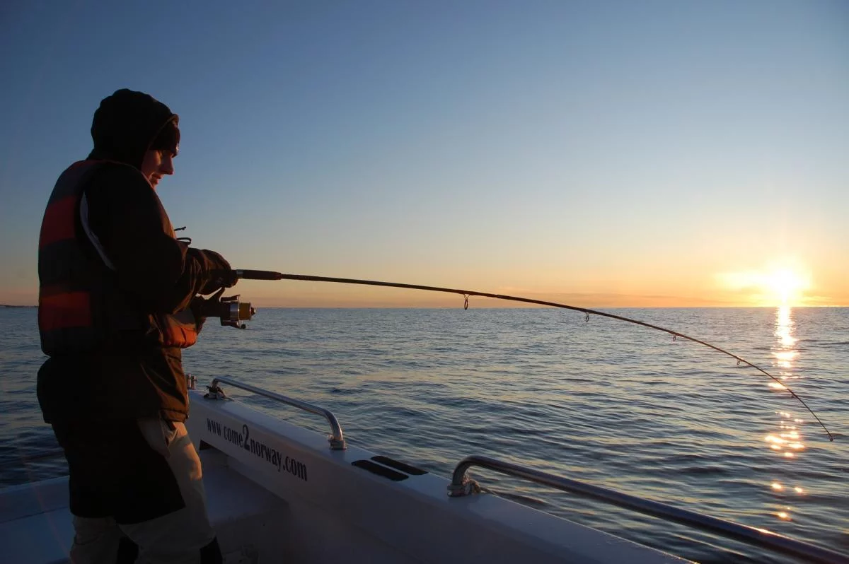 Winter in Norwegen 2009/2010, Ferienhaus Anders auf Hidra.
Die abenteuerliche Reise der Familie Kathöfer