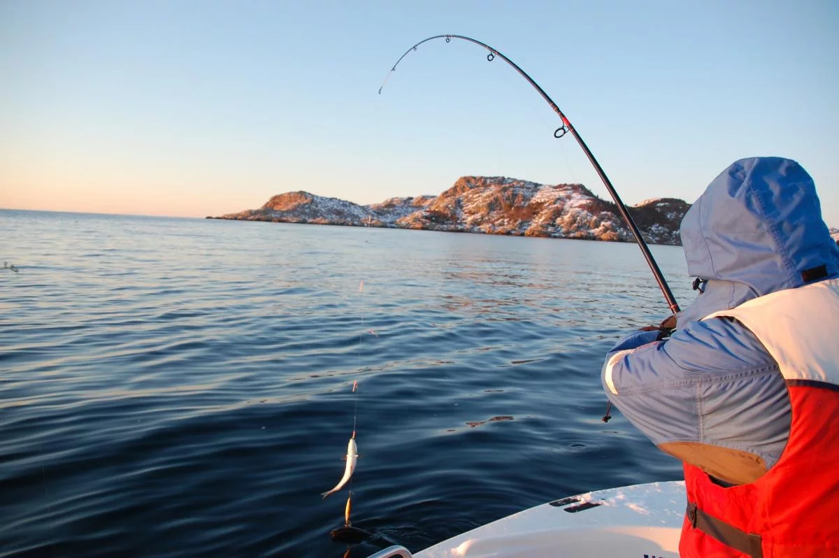 Winter in Norwegen 2009/2010, Ferienhaus Anders auf Hidra.
Die abenteuerliche Reise der Familie Kathöfer