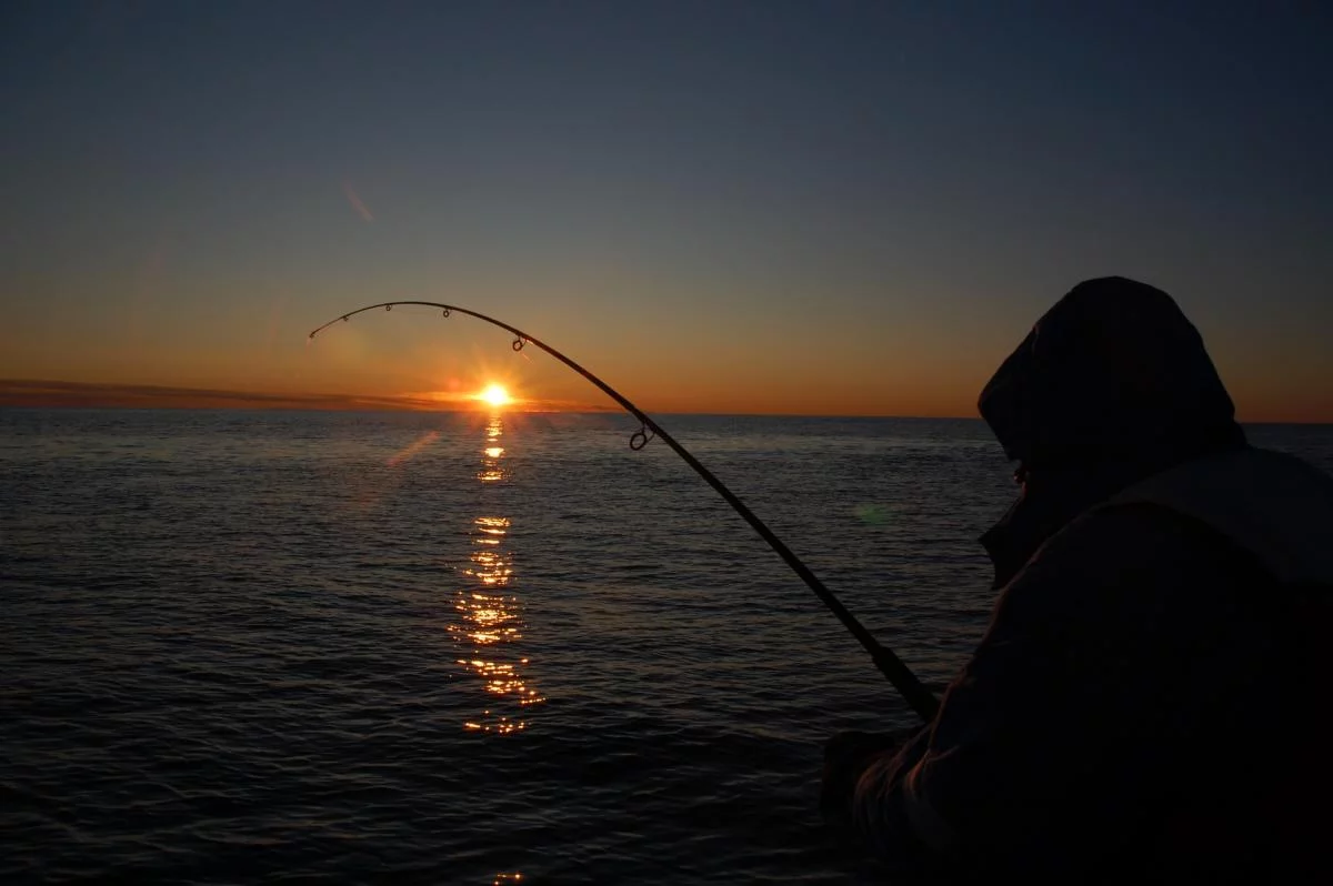 Winter in Norwegen 2009/2010, Ferienhaus Anders auf Hidra.
Die abenteuerliche Reise der Familie Kathöfer