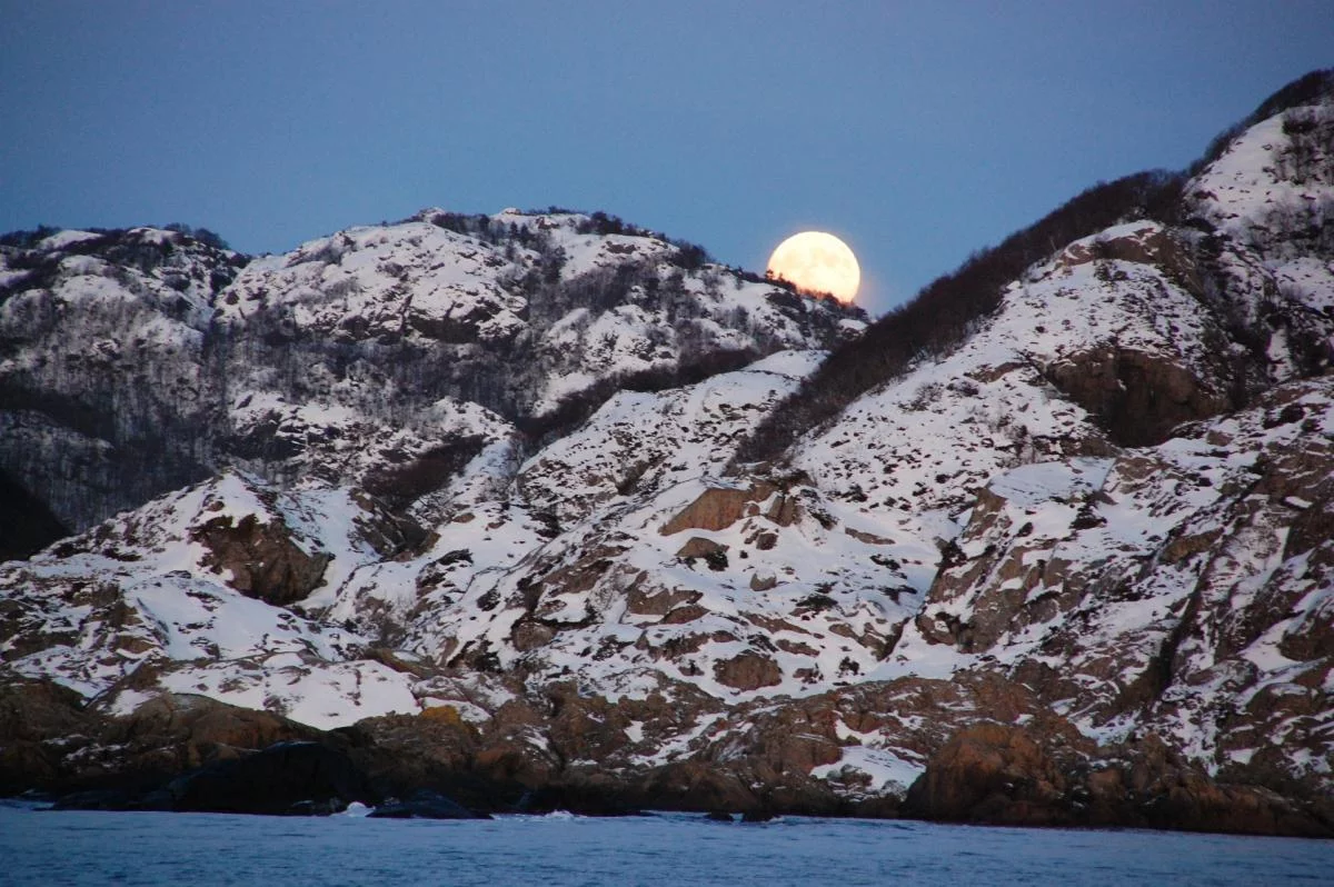 Winter in Norwegen 2009/2010, Ferienhaus Anders auf Hidra.
Die abenteuerliche Reise der Familie Kathöfer