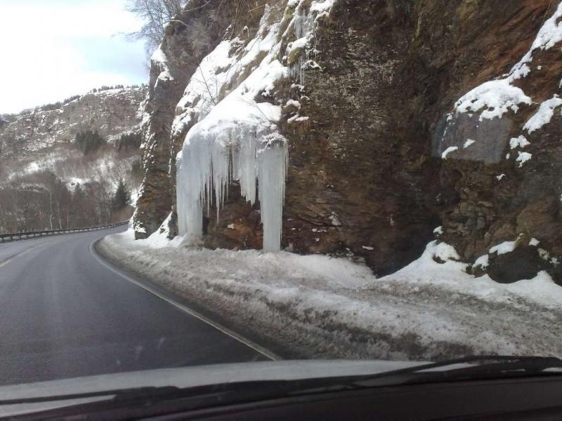 winter2010 11