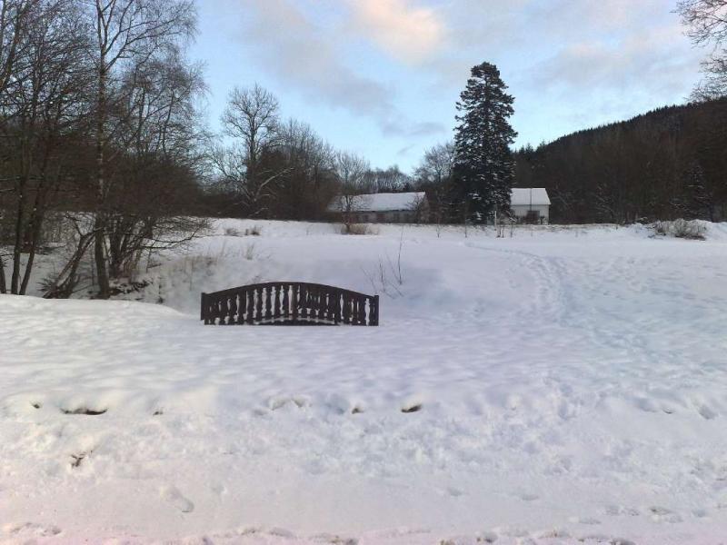 winter2010 14
