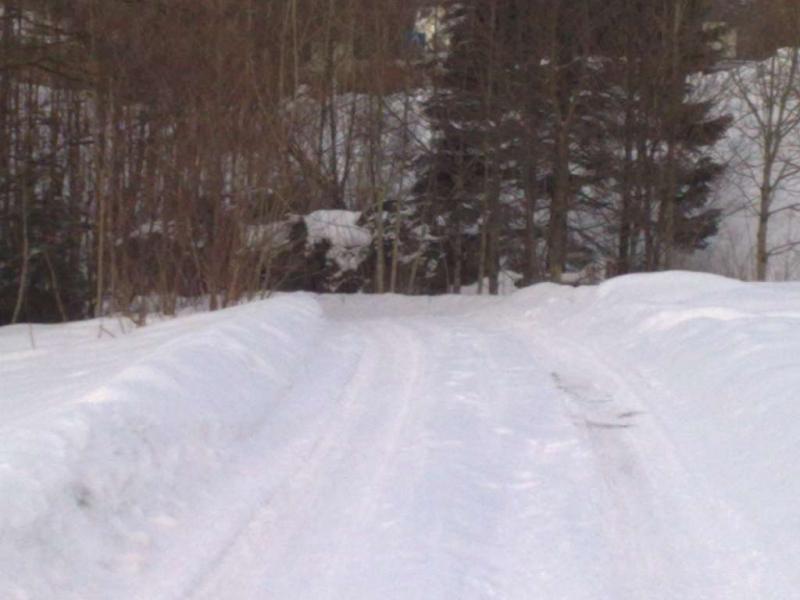 winter2010 17