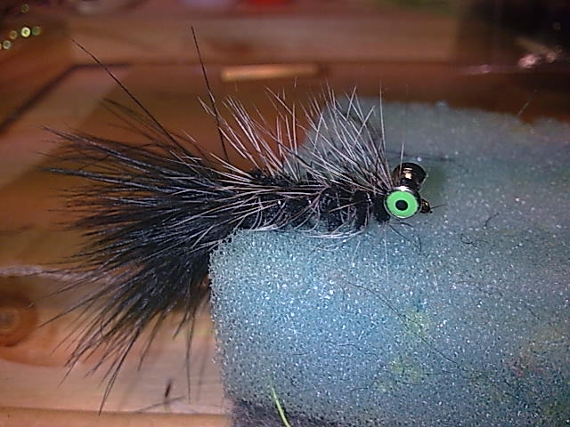 Wolly Bugger #8