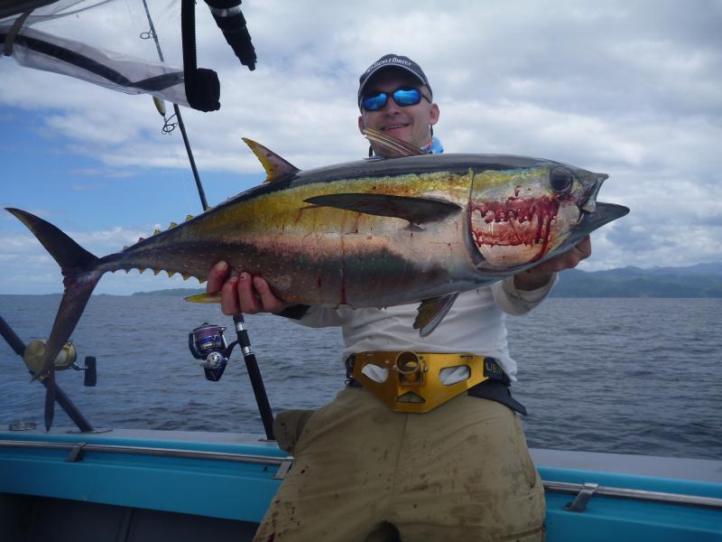 yellowfin2