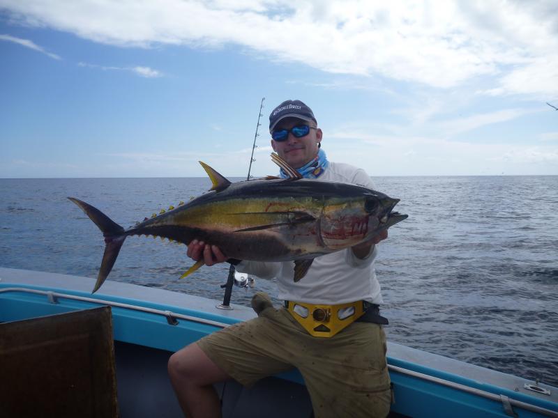 yellowfin3