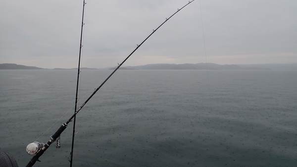 IMG_20180722_01100.jpg